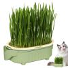 Elephant-Shaped Hydroponic Cat Grass Growing Tray view 1