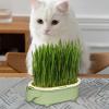Elephant-Shaped Hydroponic Cat Grass Growing Tray view 4