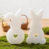 BELSVOR 2-Pack Silicone Easter Molds view 3