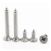 M1–M6 Micro Stainless Steel Phillips Self-Tapping Countersunk Screws, 3 mm view 3