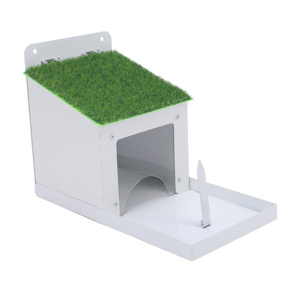 SIXRUN Metal Squirrel Feeder with Durable Green Lid