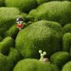 DIY Artificial Moss Foam Board, Green, 30 x 30 cm view 4