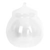 Glass Plant Terrarium with Lid, Christmas Gift Idea view 1