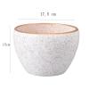 DFHS46JK Large Round Succulent and Orchid Flower Pot view 2