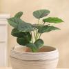 DFHS46JK Large Round Succulent and Orchid Flower Pot view 3