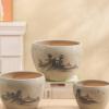 DFHS46JK Large Round Succulent and Orchid Flower Pot view 4