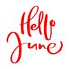 Hand-Drawn Typography "Hello June" Wall Decal, Red, 42 x 43 cm view 1