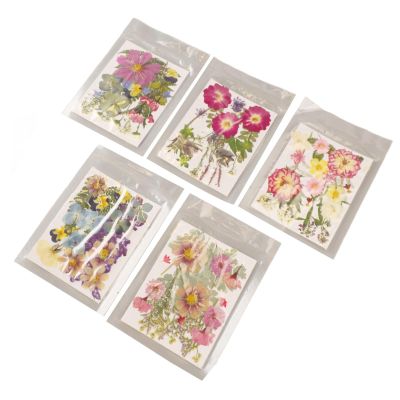 Walfront Pressed Dried Flowers for Crafts, 100 Pieces, Type 2
