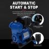 Fockety Self-Priming Booster Pump, 750 W, 1 HP, with Precharged Pressure Tank view 2