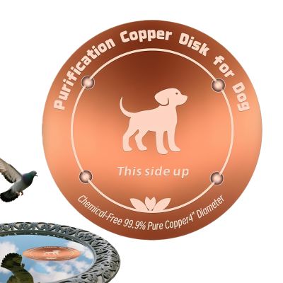 10 cm Copper Disc for Bird Baths, Universal Reinforced Design