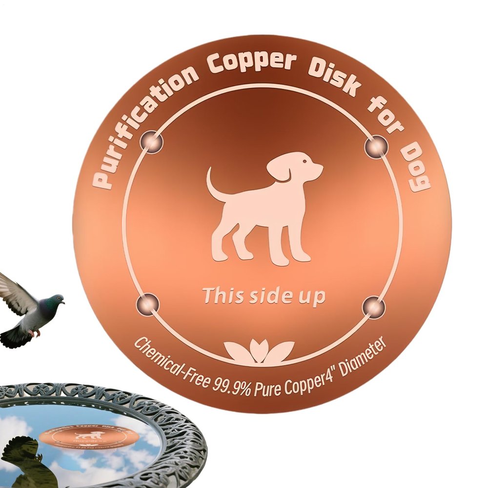 10 cm Copper Disc for Bird Baths, Universal Reinforced Design