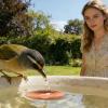 10 cm Copper Disc for Bird Baths, Universal Reinforced Design view 3