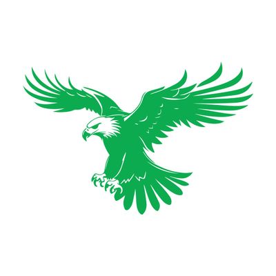 Majestic Black Eagle Vinyl Wall Mural and Sticker, 64 x 96.4 cm, Green Glass Sticker