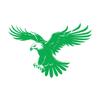 Majestic Black Eagle Vinyl Wall Mural and Sticker, 64 x 96.4 cm, Green Glass Sticker view 1