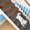 ZXIAOHUI Stair Treads 48 x 66 cm, Soft, Non-Slip, Cuttable, Reusable, 5-Pack view 1