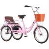 Adult Tricycle with Dual Brakes, Passenger Seat and Cargo Storage view 1