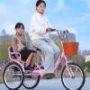 Adult Tricycle with Dual Brakes, Passenger Seat and Cargo Storage view 2