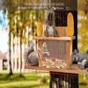 Fun Squirrel Feeder for Outdoor Garden Decor view 4