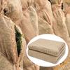 CKQshenKouyicKQ 1 Roll Winter Tree Wrap, Natural Jute Burlap Plant Protection Cover, 1 x 5 m view 2