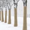 CKQshenKouyicKQ 1 Roll Winter Tree Wrap, Natural Jute Burlap Plant Protection Cover, 1 x 5 m view 3