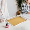 Stainless Steel Dissecting Tray with Wax for Classroom Dissection view 4
