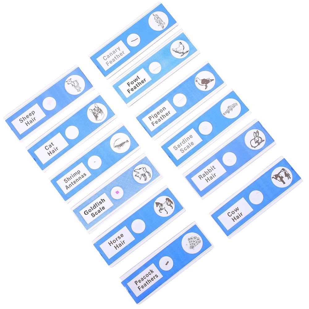 Plastic Microscope Slides with ABS Animal Specimens