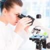 Plastic Microscope Slides with ABS Animal Specimens view 4