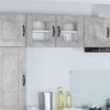 Owoxanthellate Kitchen Wall Cabinet, Concrete Gray, 40 x 31 x 40 cm view 1