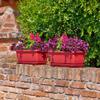 Euro3plast Inis Rectangular Plastic Saucer for Window Boxes, 56 cm, Red view 4