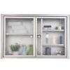 Stainless Steel Double-Door Wall Cabinet, 65 × 20 × 45 cm view 1