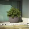 Euro3plast Aromatika and Materika Round and Square Flower and Herb Pots, 5 Sizes, 8 Colors (Taupe, 18 cm Round Etria) view 2