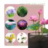 4-Pack Reusable Foldable Water Plant Baskets view 4
