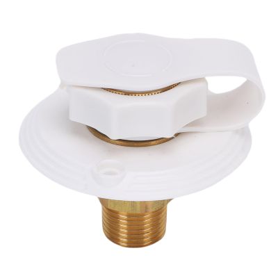 Badafaci RV Water Inlet with Check Valve, ABS and Brass Flange, 1/2-Inch Male Thread, White