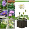 Generic Pond Baskets, 4-Pack, Foldable Breathable Planting Bags view 4