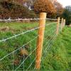 Durable Galvanized Barbed Wire Roll for Security Fences and Climbing Protection view 2