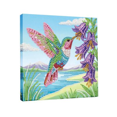 CXINLky 5D Diamond Painting Kit with Frame, Hummingbird, 25 x 25 cm