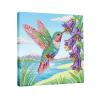CXINLky 5D Diamond Painting Kit with Frame, Hummingbird, 25 x 25 cm view 1