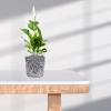 VICASKY 40-Pack Plastic Orchid Nursery Pots with Drainage Holes view 3