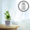 VICASKY 40-Pack Plastic Orchid Nursery Pots with Drainage Holes view 4