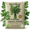 BioGlück Organic Gigante d’Italia Parsley Seeds view 1