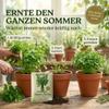 BioGlück Organic Gigante d’Italia Parsley Seeds view 3