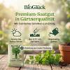 BioGlück Organic Gigante d’Italia Parsley Seeds view 4