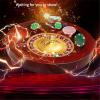 Roulette Wheel Set with Precision Bearings - Wood Design for Private and Professional Use view 3