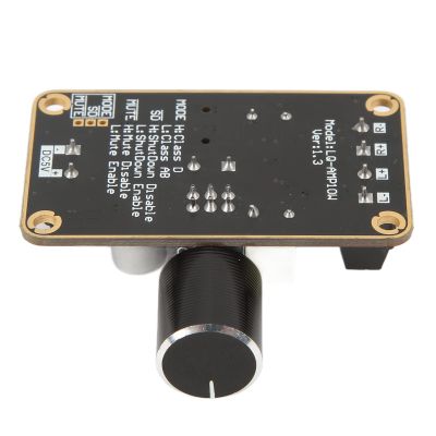 ZDETGU PAM8406 5 W + 5 W Class D Stereo Amplifier Board