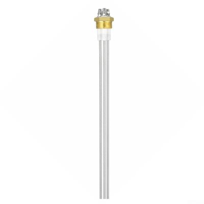 G1 Threaded 3-Pole Stainless Steel Liquid Level Electrode Probe with Brass Connector and PTFE Insulation for Steam Boilers or Drinking Water Systems, 405 mm Overall Length