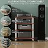 Stylish Wood Console Stand, Tiered Media Cabinet for Turntables, TVs, and Audio Equipment view 3