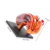 Mipcase Anatomical Stomach Model for Science Classes view 2