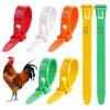 50/100-Piece Adjustable Chicken Leg Rings, 5 Colors (White, 50 Pieces) view 2