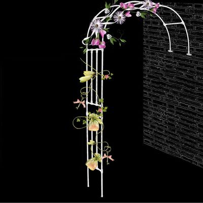 Metal Garden Half-Arch Stand, Weather-Resistant Trellis, 1.8–3 m, White