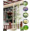 Metal Garden Half-Arch Stand, Weather-Resistant Trellis, 1.8–3 m, White view 2